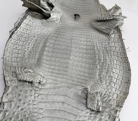 Caiman Belly/Live Customize (BETA)