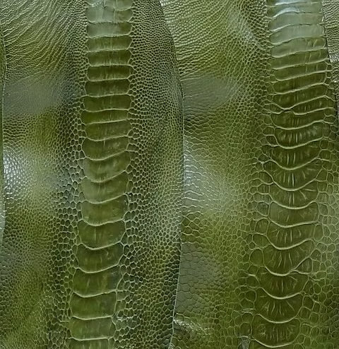 Ostrich Leg/Customize
