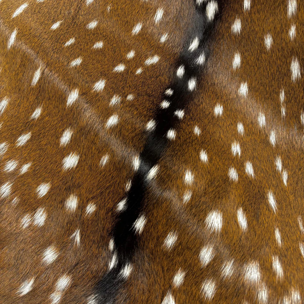 Deer (Grade 1)/Customize