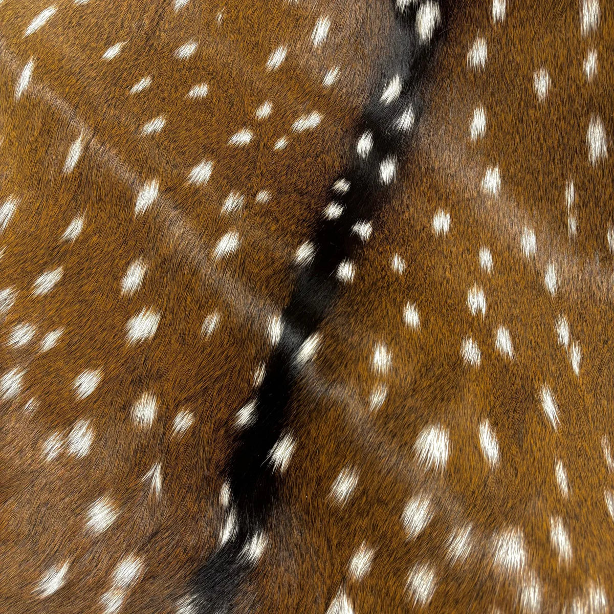 Deer (Grade 1)/Customize