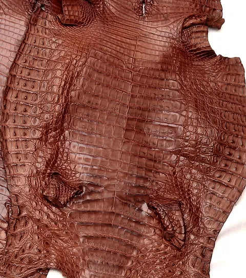 Caiman Belly/Live Customize (BETA)