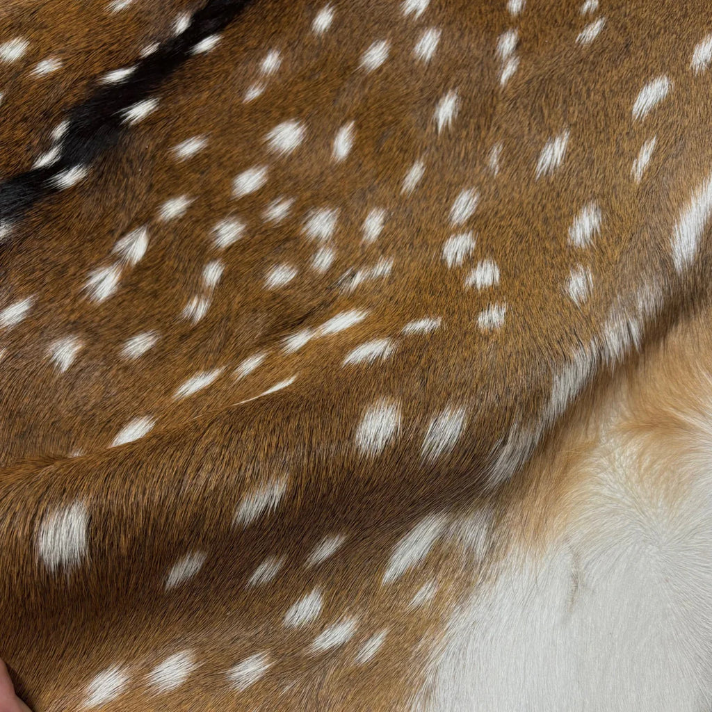 Deer (Grade 1)/Customize