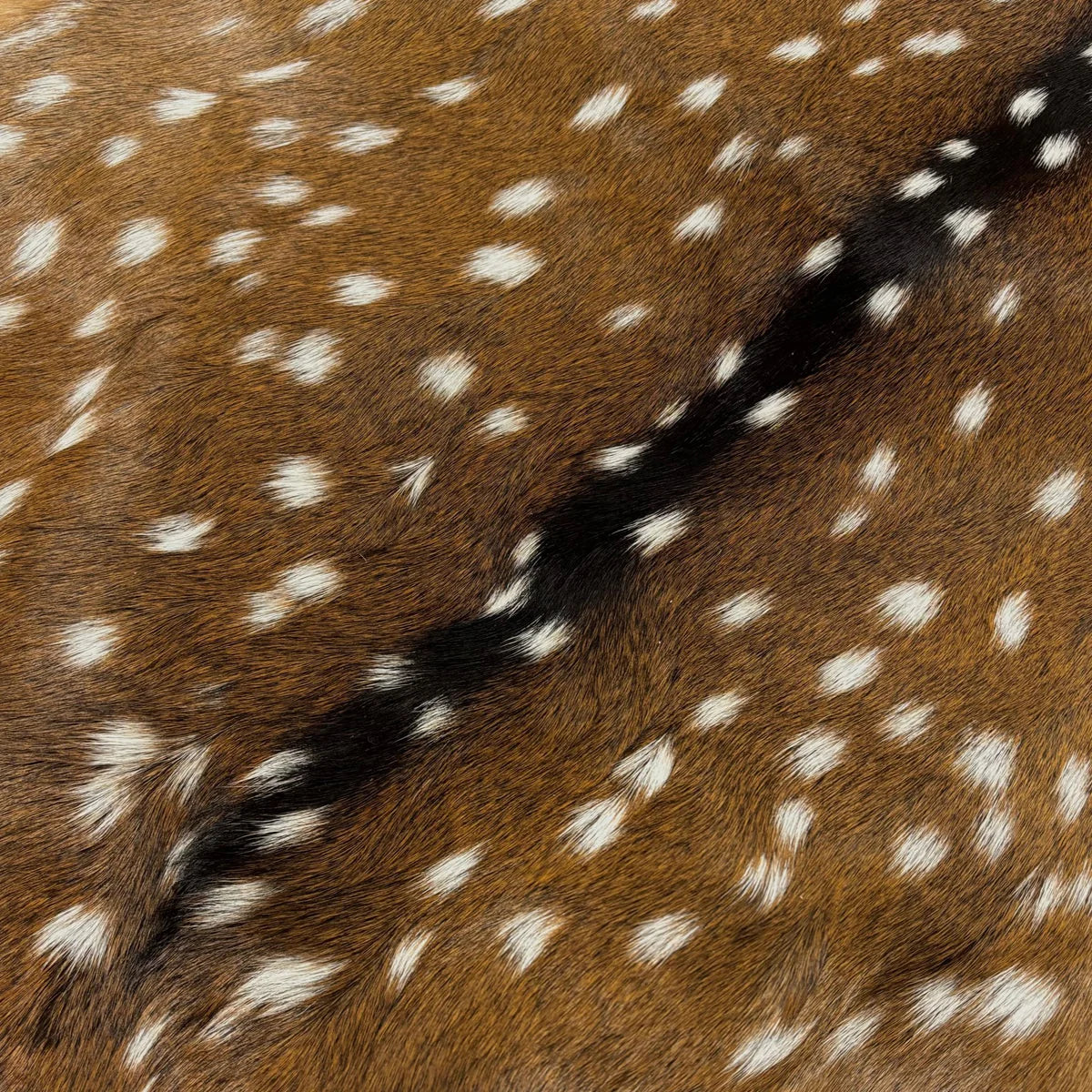 Deer (Grade 1)/Customize