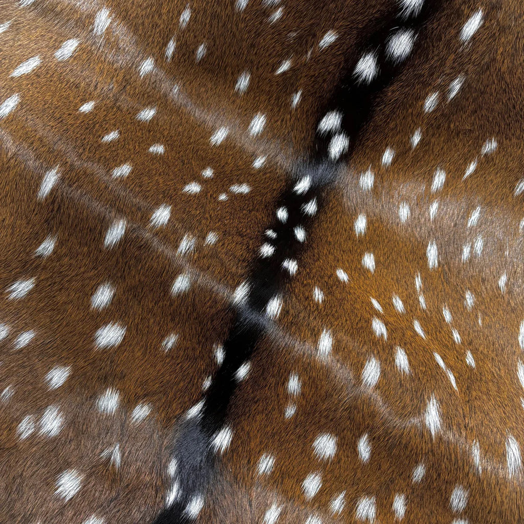 Deer (Grade 1)/Customize