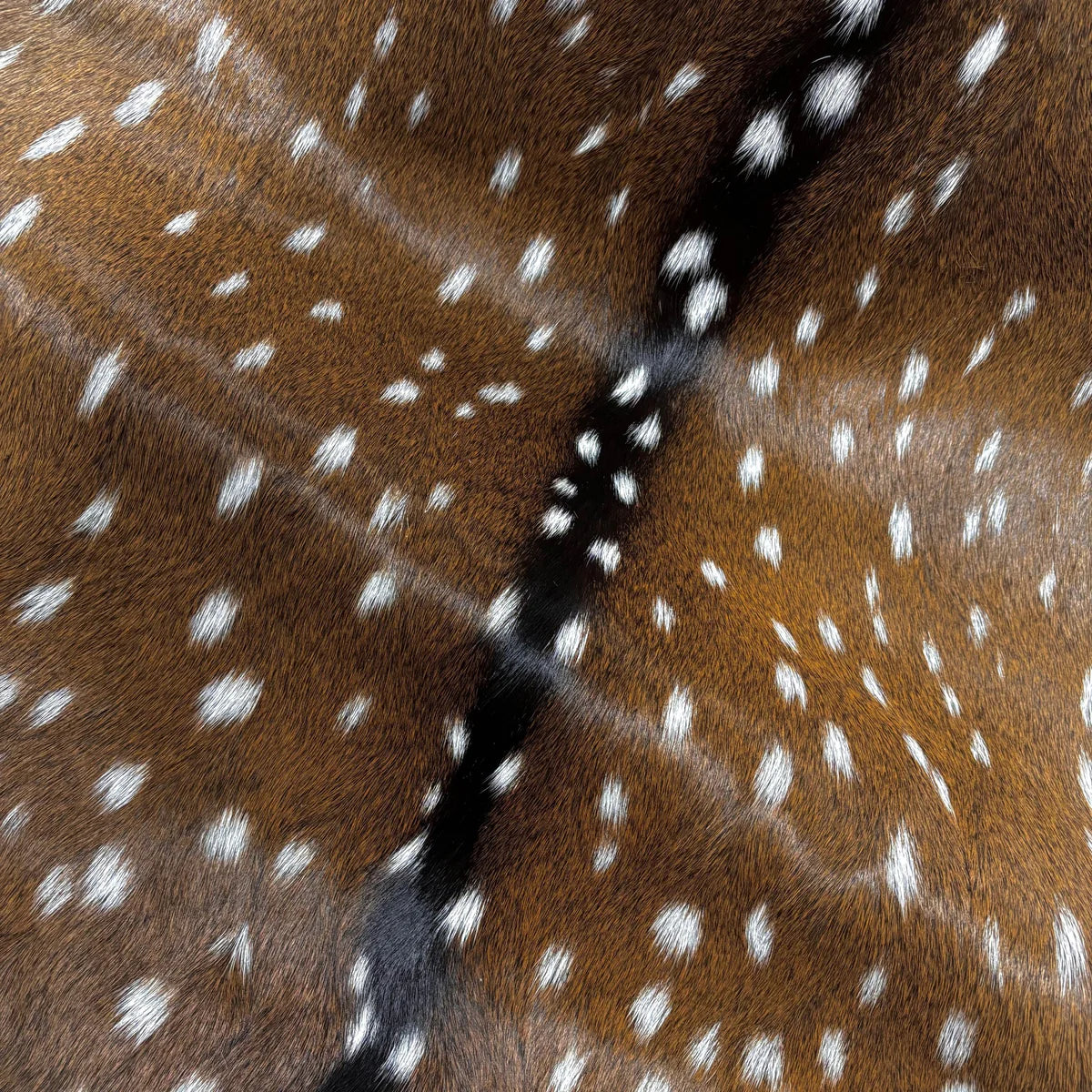 Deer (Grade 1)/Customize