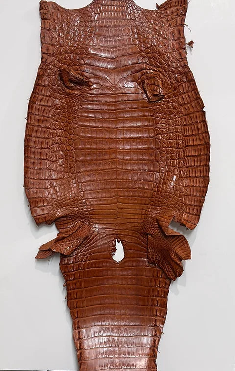 Caiman Belly/Live Customize (BETA)