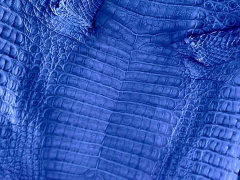 Caiman Belly/Live Customize (BETA)