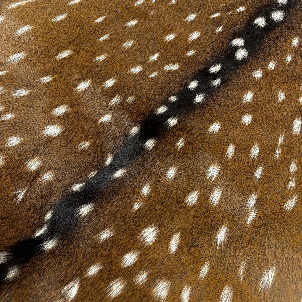 Deer (Grade 1)/Customize