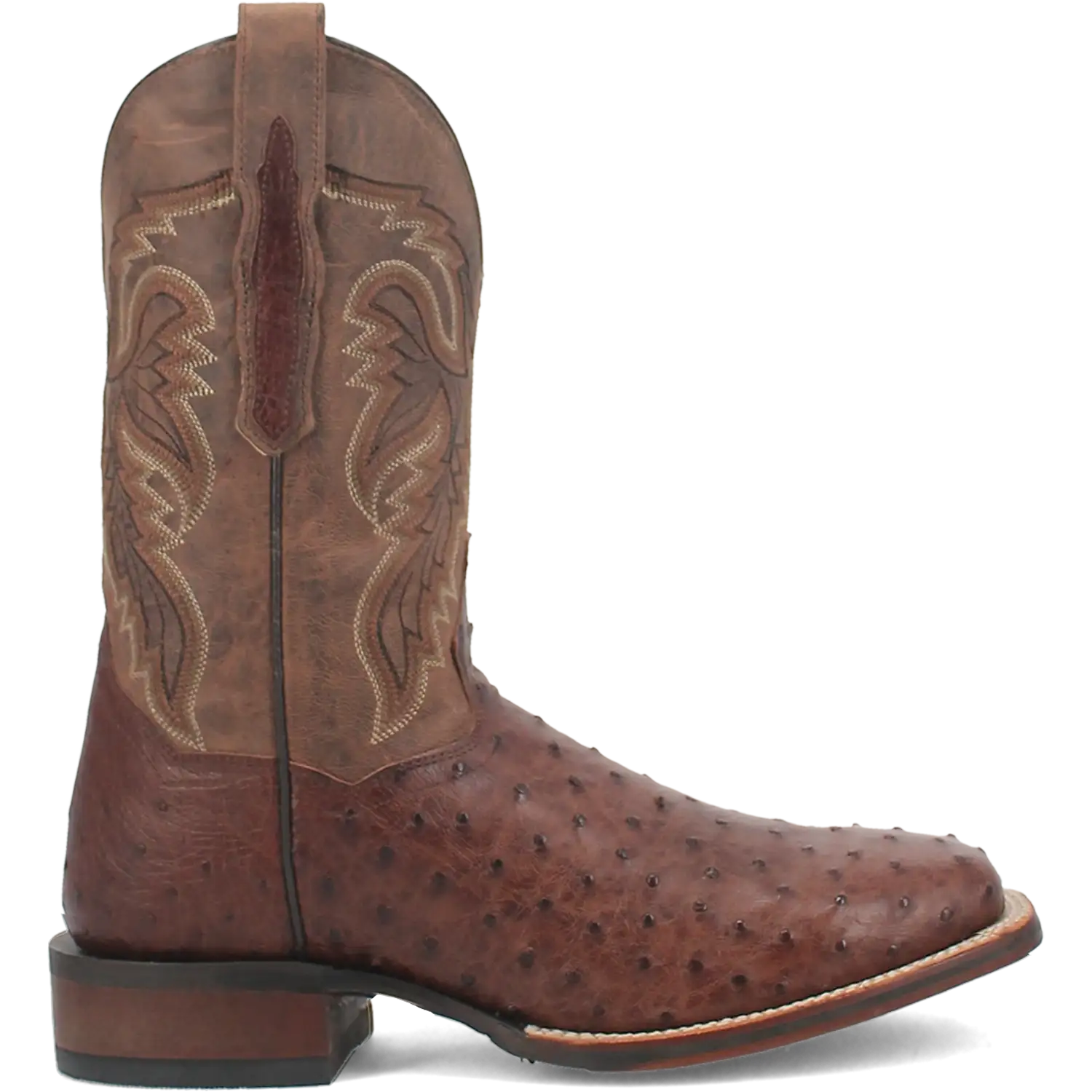 Dan Post Alamosa (Chocolate/Brown) - Men's Ostrich Skin Leather Cowboy Boots