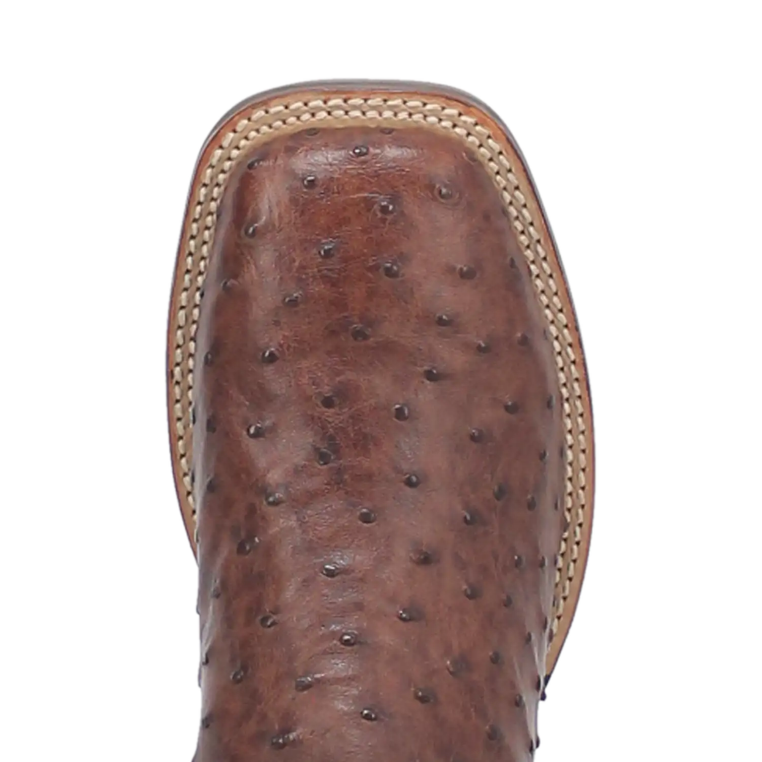 Dan Post Alamosa (Chocolate/Brown) - Men's Ostrich Skin Leather Cowboy Boots