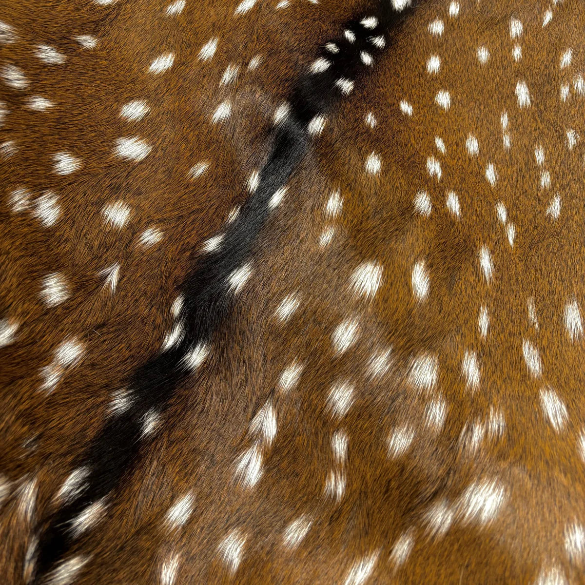 Deer (Grade 1)/Customize