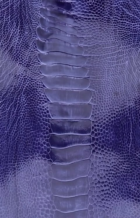 Ostrich Leg/Customize