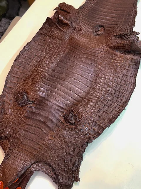 Caiman Belly/Live Customize (BETA)