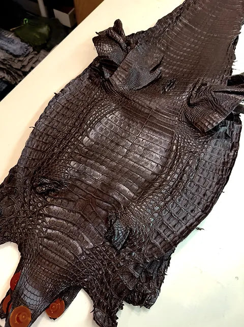 Caiman Belly/Live Customize (BETA)