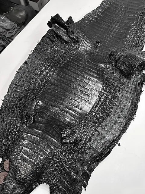 Caiman Belly/Live Customize (BETA)