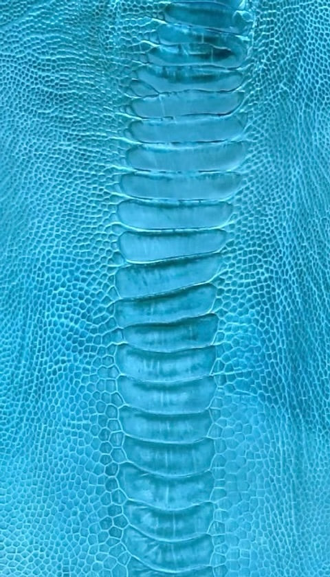 Ostrich Leg/Customize