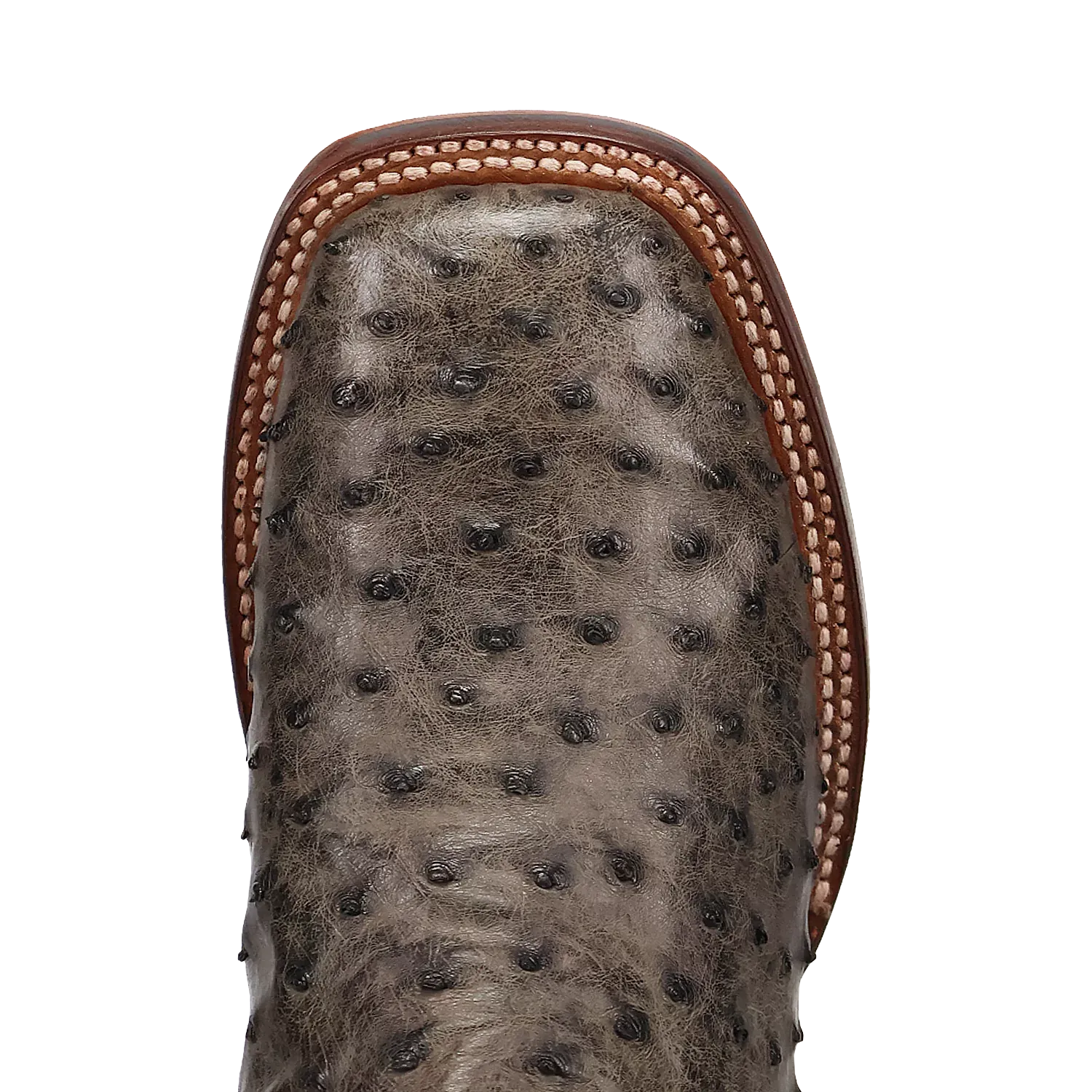 Dan Post Alamosa (Grey/Black) - Men's Ostrich Skin Leather Cowboy Boots