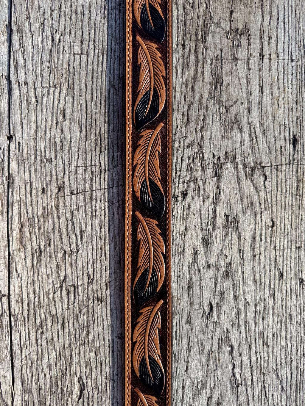 Genuine Leather Western Belt with tooled Black Feather Details by Double B Wild Rags