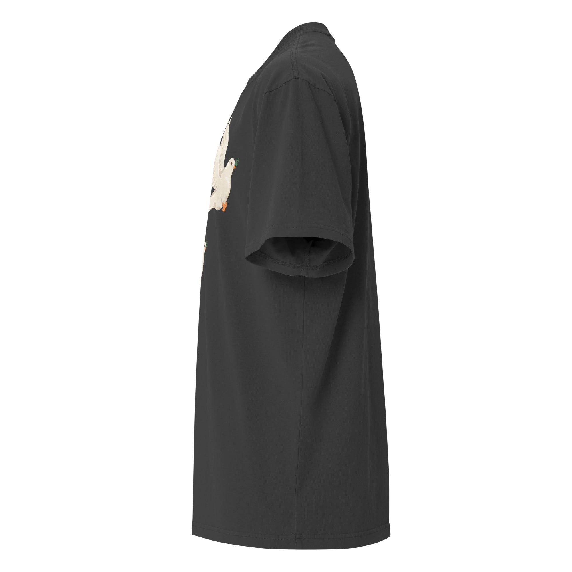 Landa Three Dove Oversized faded t-shirt